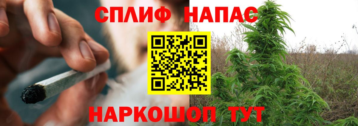 Бошки Шишки конопля  Вход с VPN  Заринск  МАРИХУАНА Amnesia  Бошки марихуана конопля 